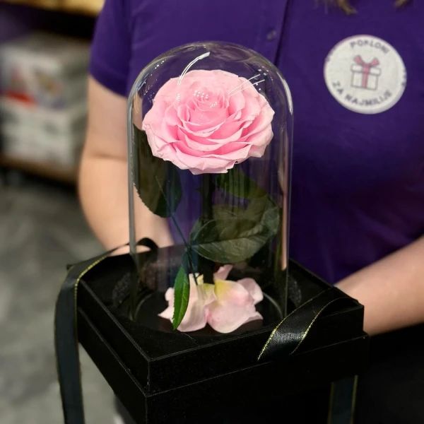 Dehidrirana roze ruža u providnoj roze kapsuli - Slika 1