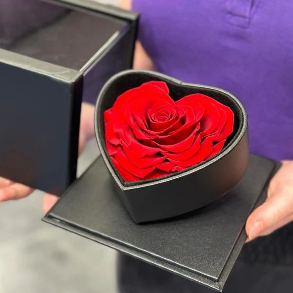 Crvena dehidrirana ruža gift box M - Slika 1